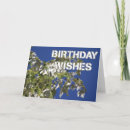 Search for poplar tree cards Nature