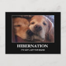 Search for couch postcards Golden retriever