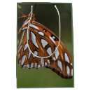 Search for spots photography Insect