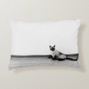 Search for siamese cat cushions Cute