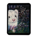 Search for ferret magnets Animals