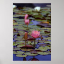 Search for pads posters Flowers