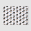 Search for puffin crafts party Birdie