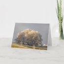 Search for countryside christmas cards Winter