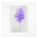 Search for flower pics posters Pretty