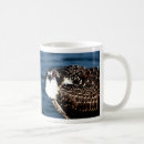 Search for osprey mugs Wildlife
