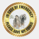 Search for dog safety stickers Save