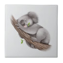 Search for sleeping tiles Bear