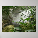 Search for rain forest art Tropical