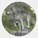 Search for wolf photography stickers Wildlife