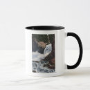 Search for boulder colorado mugs States
