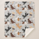 Search for paw print blankets Dogs