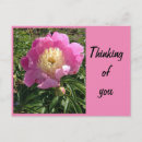 Search for pink peony birthday cards Garden