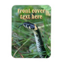 Search for chinese new year Scales