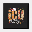 Search for icu magnets Ghost