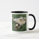 Search for dog with ball mugs Lying down