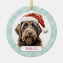 Search for wirehaired pointing griffon christmas tree decorations Puppy
