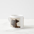 Search for boxer photo mugs Domestic animals