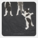 Search for husky puppy stickers Animal