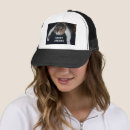 Search for calico hats Kitty