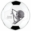 Search for grey aliens Extraterrestrial