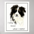 Search for collie pet posters Herding