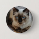 Search for add image badges Pet