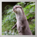 Search for cute otter posters Sea