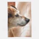 Search for jack russell tea towels Cute
