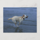 Search for blurred postcards Water