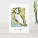 Search for snowbird cards Florida