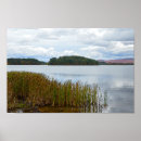 Search for cat tail posters Lake
