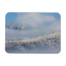 Search for frost magnets Colorado