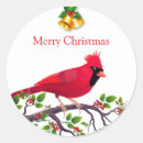 Search for red cardinal bird stickers Autumn