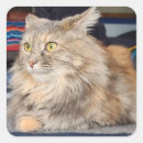 Search for mood stickers Angry