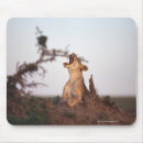 Search for seven mousepads Animal