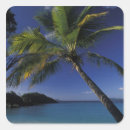 Search for st john island stickers Beach