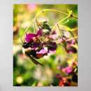 Search for bumble posters Flower