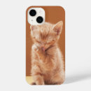 Search for orange tabby iphone cases Young animal