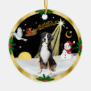 Search for greater Pets