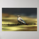 Search for western canada posters Alberta