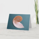 Search for nautilus shells cards Beach