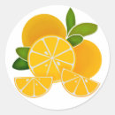 Search for orange slice stickers Lemons