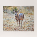 Search for big game hunting puzzles Deer