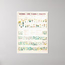 Search for vintage botanical canvas prints Botany
