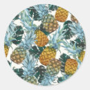 Search for pineapple birthday stickers Summer