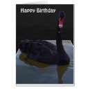 Search for swan birthday cards Wildlife