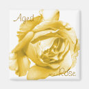 Search for aged magnets Flowers