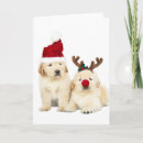 Search for lab christmas cards Cute
