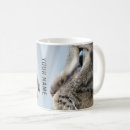 Search for close up mugs Tabby